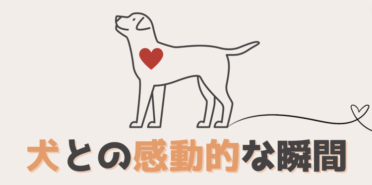 カワイイがいっぱい！ワンダーランド